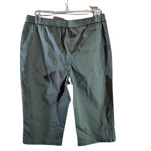 NWT D & Co Denim Company Olive Denim Shorts Woman's L